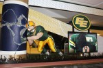 EIA unveils new sports-themed baggage system