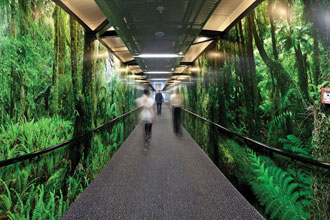 Christchurch Airport’s Sensory Arrivals Experience