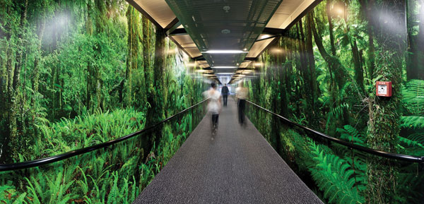 The airbridge corridors include specially commissioned floor-to-ceiling photographs highlighting four separate regions: the West Coast, Abel Tasman National Park, the Mackenzie Country, and the Antarctic. (Photo credit: John Doogan)