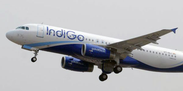 indiGo