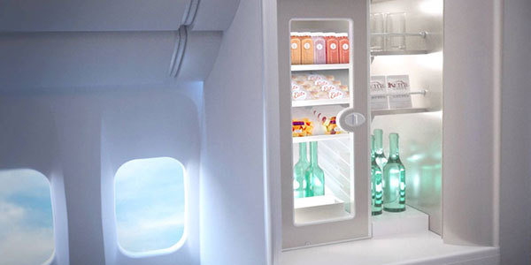 Premium Economy larder fridge