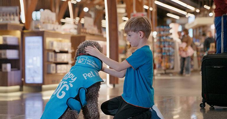 iGA Istanbul Airport introduces Therapy Dogs to comfort passengers before travel